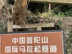 -普陀山风景区-佛顶山