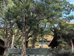 -普陀山风景名胜区-法雨禅寺