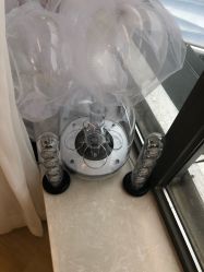 -E.L.K造型momopark店