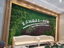 -玛丽亚妇产医院