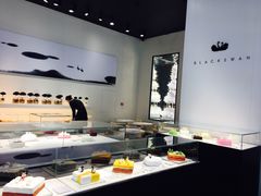 -BLACKSWAN黑天鹅(环球店)