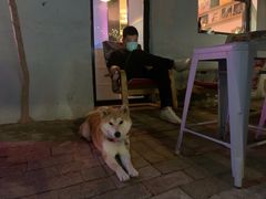 -ZING鲸鱼啤酒(葡萄院店)