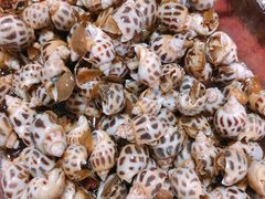 花螺超鲜-锦绣大地生鲜食品厅