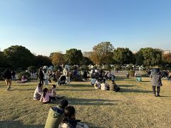 -南京市江宁方山