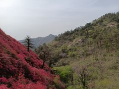 -木兰云雾山