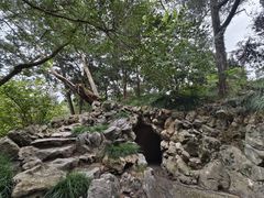 -叶家花园
