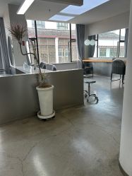 -蚂蚁造型沙龙