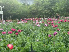 -国家植物园南园