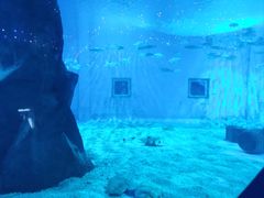 -北戴河圣蓝海洋公园