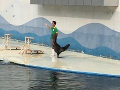 -北戴河圣蓝海洋公园