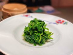 清炒豌豆尖儿-晟永興烤鸭店(五道口店)