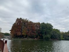 -荔湾湖公园