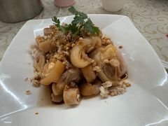 -百利鸽王(紫薇路店)