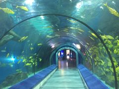 -福州罗源湾海洋世界旅游区