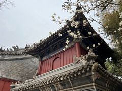 -潭柘寺景区