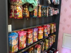 -喵百万·布偶·蓝金金渐层英短·猫舍(百子湾店)
