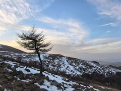 -灵山