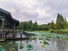 -渤公岛生态公园