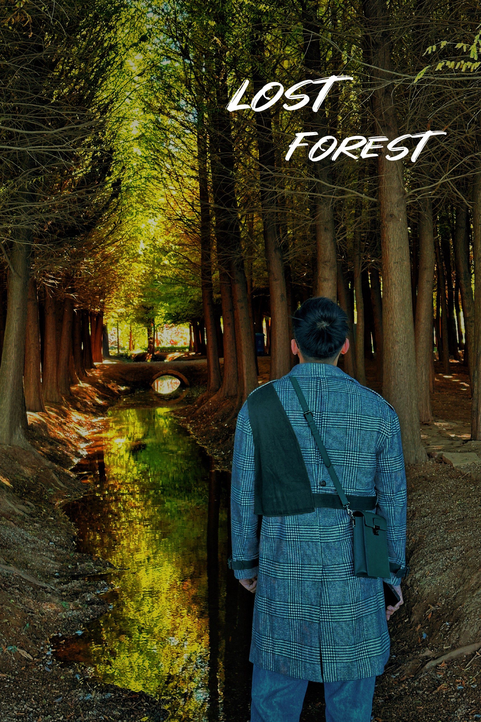 昆明旅游推荐|捞鱼河湿地公园之"迷失森林"