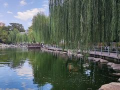 -莲湖公园