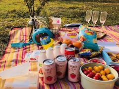 -艾溪湖湿地公园