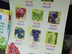 -成都美盈都市现代农业示范园