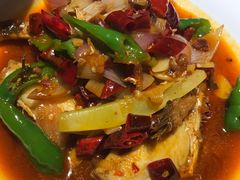 -酒肉行·虎子盐筋烤肉(大寨路店)