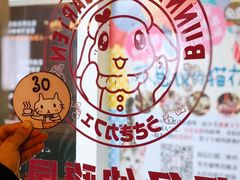 -猫猫幼稚园·撸猫·桌游·电玩