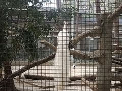 -柳州市动物园