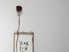 -猫里有甜
