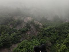 -罗田天堂寨风景区