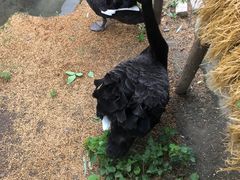 -上海怡沁园度假酒店