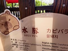 -上海野生动物园老虎餐厅