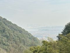 -韬光茶庵