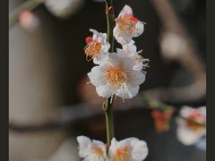 -静安雕塑公园
