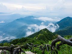 -梧桐山风景名胜区