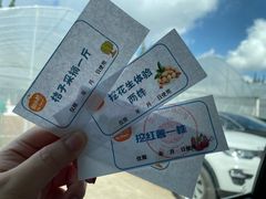 -前小桔亲子创意农场·草莓采摘·露营烧烤