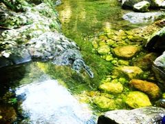 -石台牯牛降景区