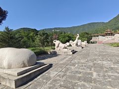 -北京十三陵国家森林公园蟒山景区