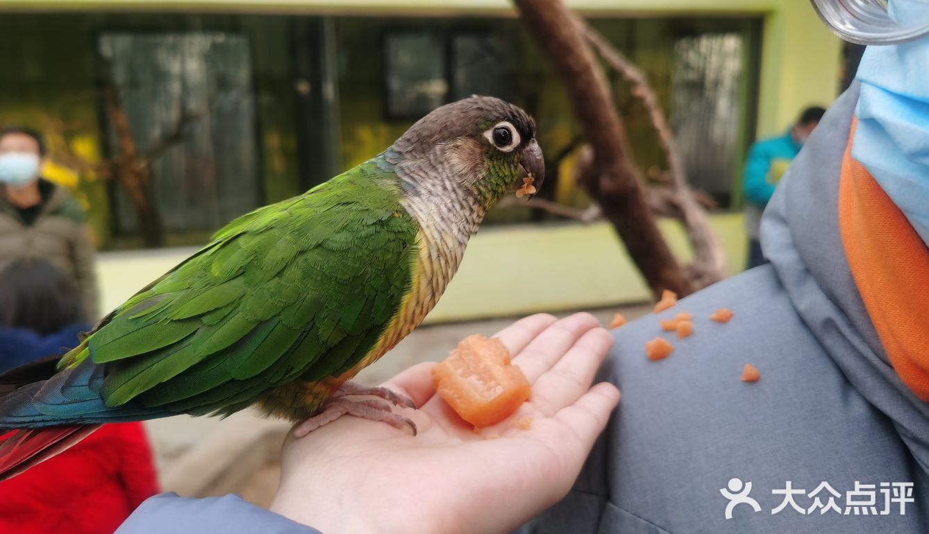 大兴野生动物园半日游