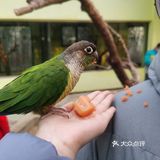 大兴野生动物园半日游