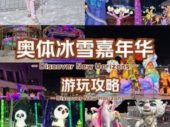 -沈阳奥体冰雪嘉年华