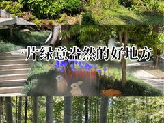 -东明山森林公园