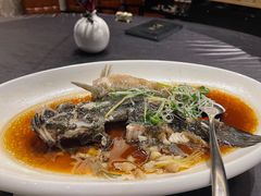 -骏莱海鲜鱼港(五角场店)