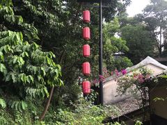 -深圳野生动物园