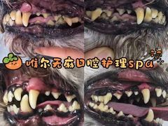 -汪小喵宠物·戴维斯乐芳希施宠馨宝皮毛调理洗护店