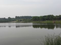 -东郊湿地公园