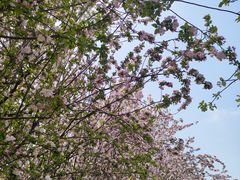 -元大都城垣遗址公园