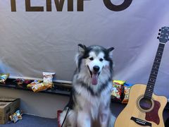 -TEMPO 音乐(五角场店)