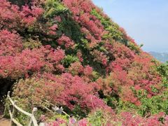 -木兰云雾山